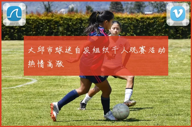 大邱市球迷自发组织千人观赛活动热情高涨