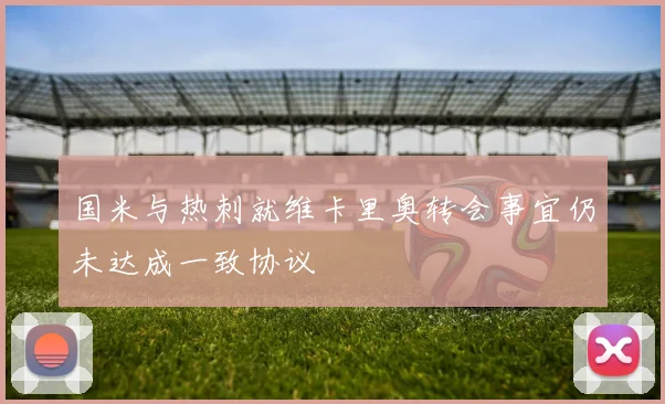 国米与热刺就维卡里奥转会事宜仍未达成一致协议