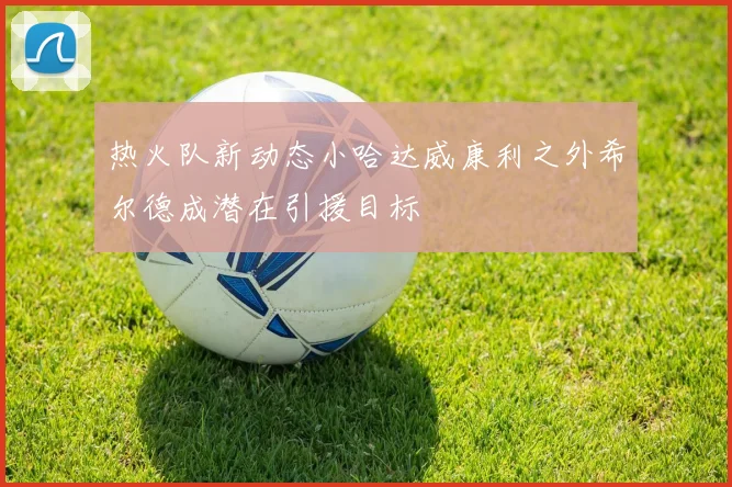 热火队新动态小哈达威康利之外希尔德成潜在引援目标