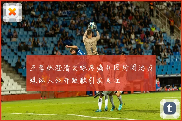 王哲林澄清打球疼痛非因封闭治疗媒体人公开致歉引发关注